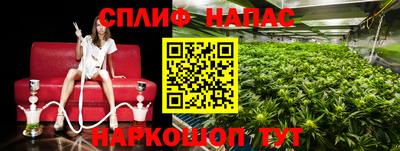 ГАЛЛЮЦИНОГЕННЫЕ ГРИБЫ Волжск