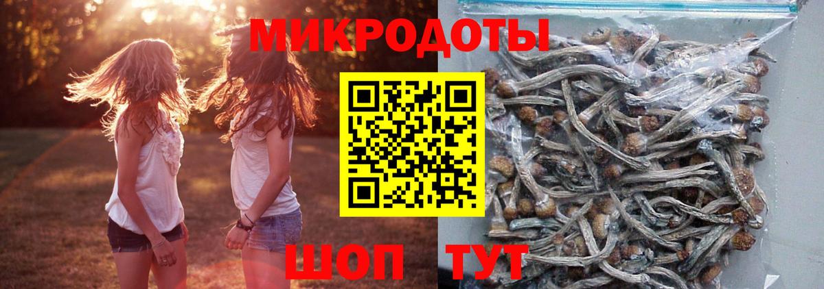 Галлюциногенные грибы Psilocybe  Вход с VPN  Кулебаки 